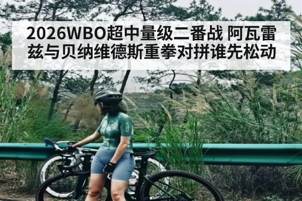 2026WBO超中量级二番战 阿瓦雷兹与贝纳维德斯重拳对拼谁先松动